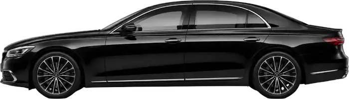 Executive in side view